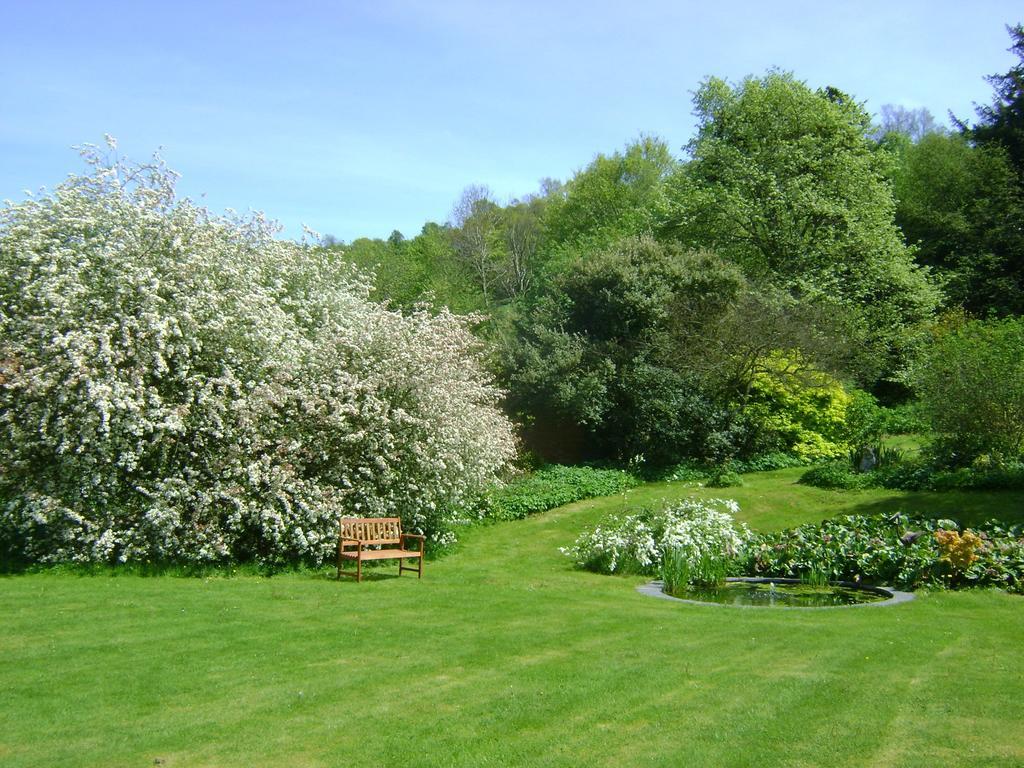 ניוטאון The Forest Country House B&B מראה חיצוני תמונה