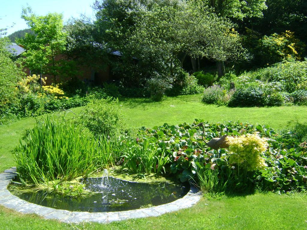 ניוטאון The Forest Country House B&B מראה חיצוני תמונה