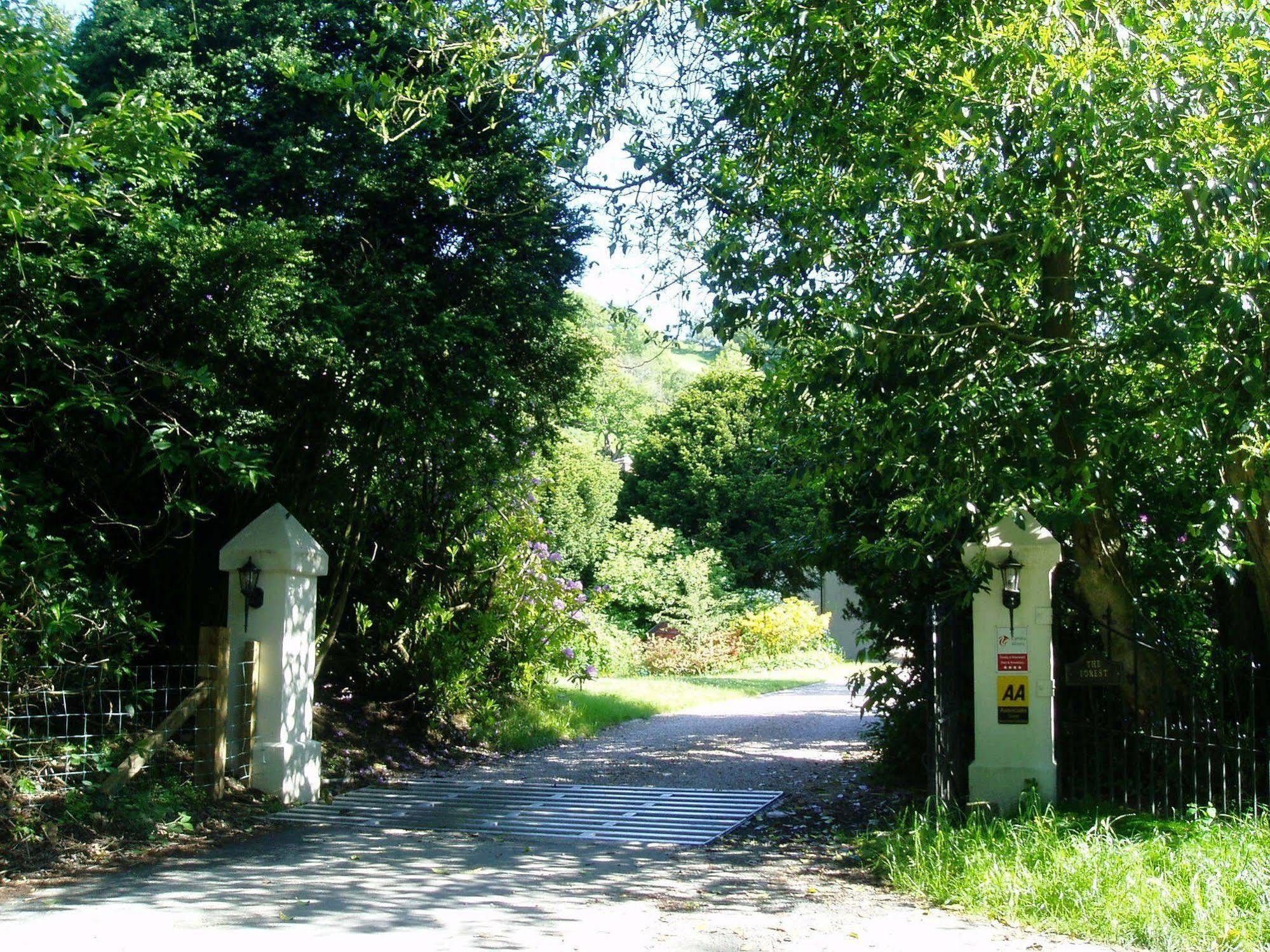ניוטאון The Forest Country House B&B מראה חיצוני תמונה